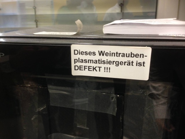bild4.jpg