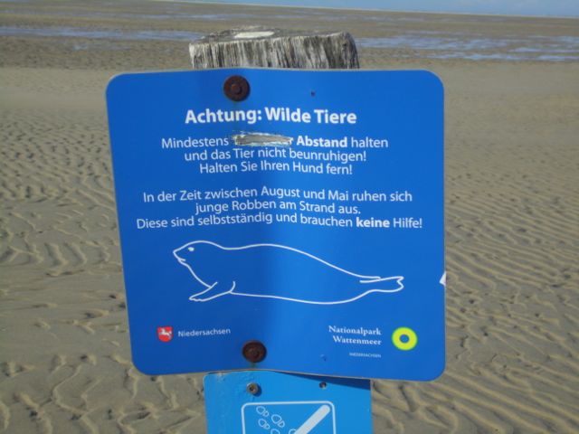 seehunde
