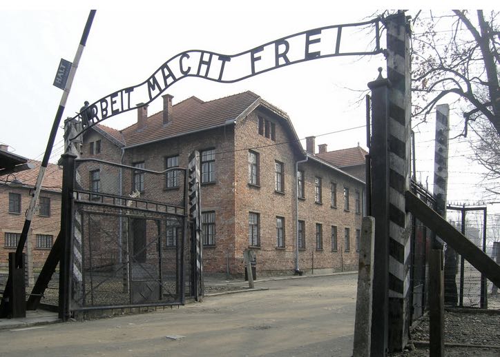 bild1.jpg