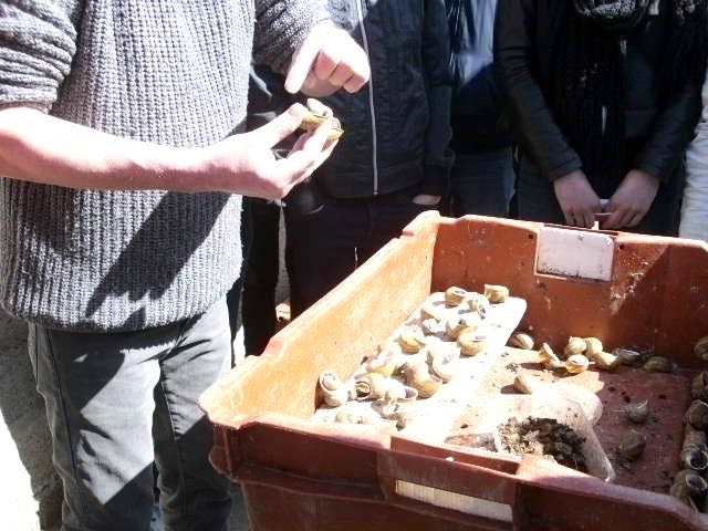 bild27.jpg
