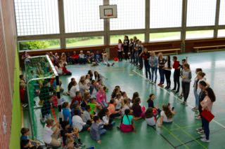 bild13.jpg