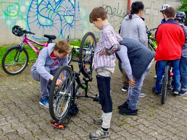bild10.jpg